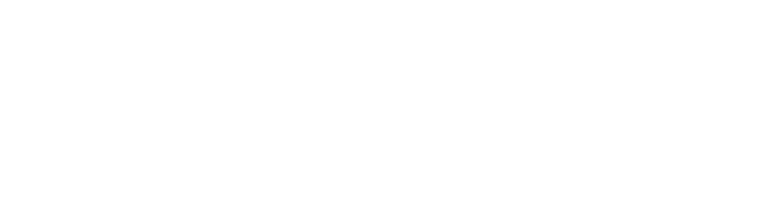 Fisiohand